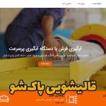 طراحی سایت قالیشویی پاکشو